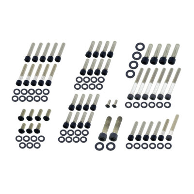 Screws4bikes, engine bolt kit