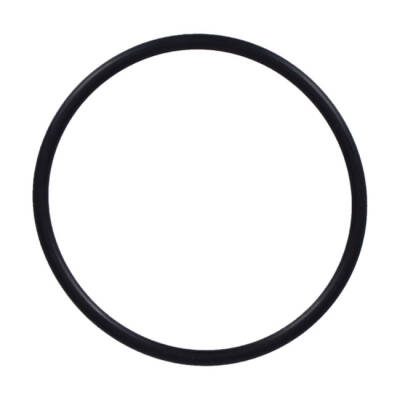 Athena, carburetor to manifold spacer block o-ring