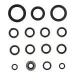 Athena, transmission mainshaft seal kit