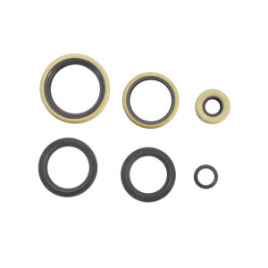 Athena, engine oil seals kit