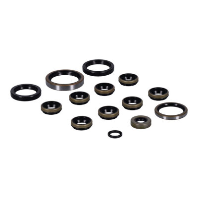 Athena, engine oil seals kit