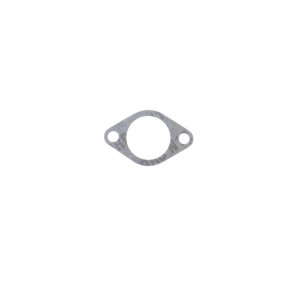 Athena, intake manifold gasket | Lieferumfang: Nur ein Teil des abgebildeten Artikels.