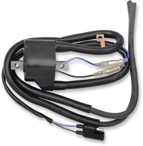 Ignition Coil Arctic