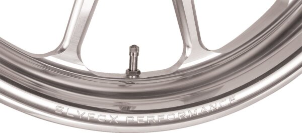 Whl R Tpro Raw 17x6 Abs
