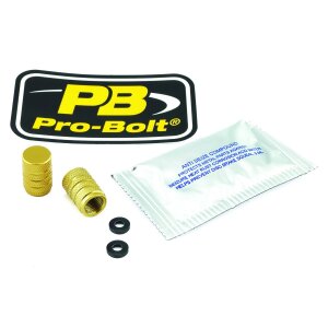Cap Valve Stem Gold