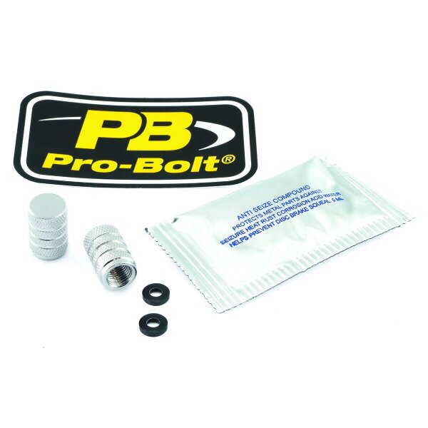 Cap Valve Stem Silver