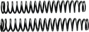 Ff Spring Set 36mm 0.27