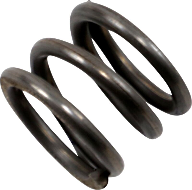 Spring Dmpr 41mm 97-13flt