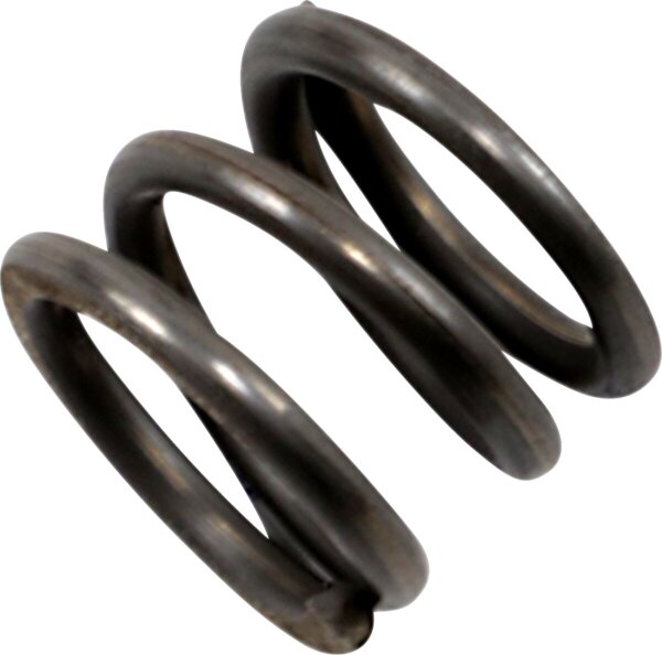 Spring Dmpr 41mm 97-13flt