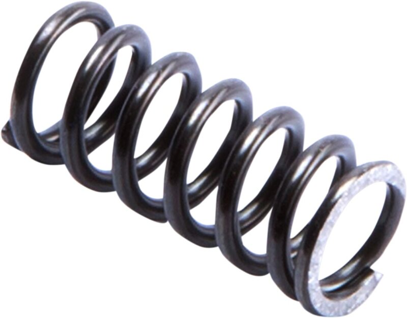 Sprg In Rbnd Pist Rod Ff