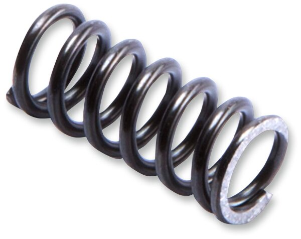 Sprg In Rbnd Pist Rod Ff