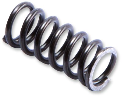 Sprg In Rbnd Pist Rod Ff