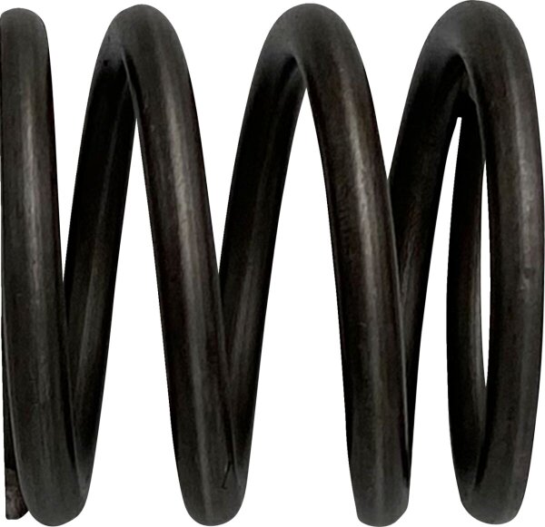 Spring Fork Rebound 49mm 18-23