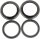 Fork Seal Z031
