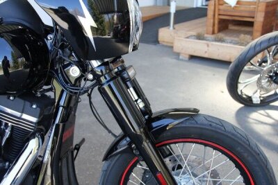 Fork Cover Lower