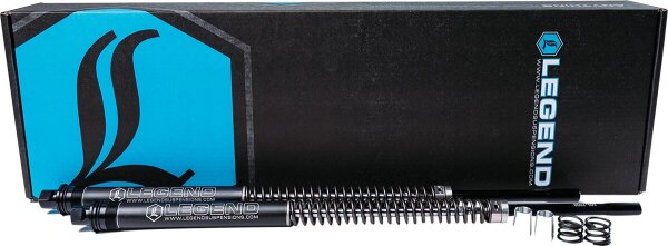 Axeo Fork Springs +2 Higher 41