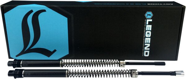 Axeo Fork Springs Standard 41m