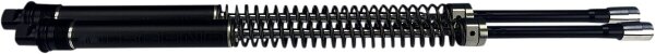 Axeo Fork Springs Standard 41m