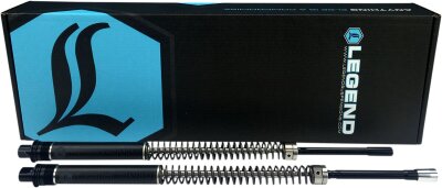 Axeo Fork Springs Standard 41m