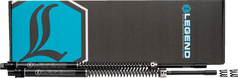 Axeo Fork Springs Standard 41m