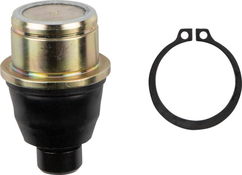 Ball Joint Lwr Can Am