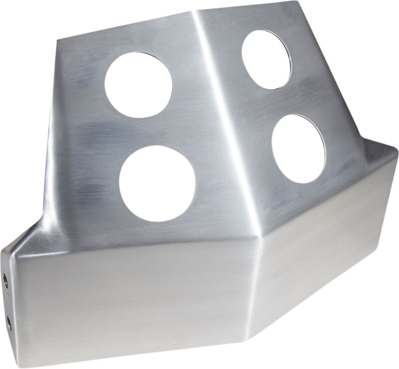Skid Plate Fxr Brushed