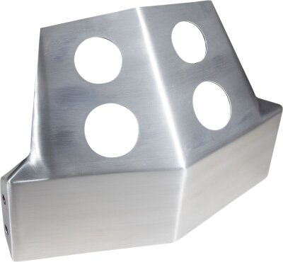 Skid Plate Fxr Brushed