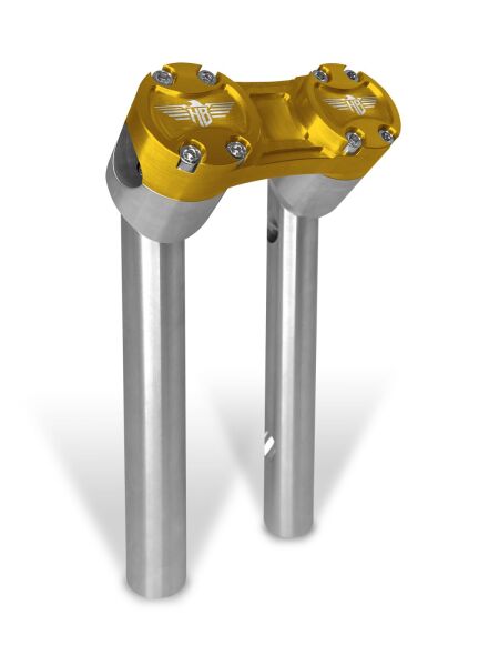 Riser Pullback 10 Silver/gold
