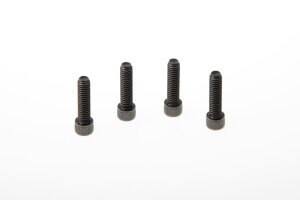 Triple Clamp Screws Xl