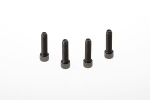 Triple Clamp Screws Xl