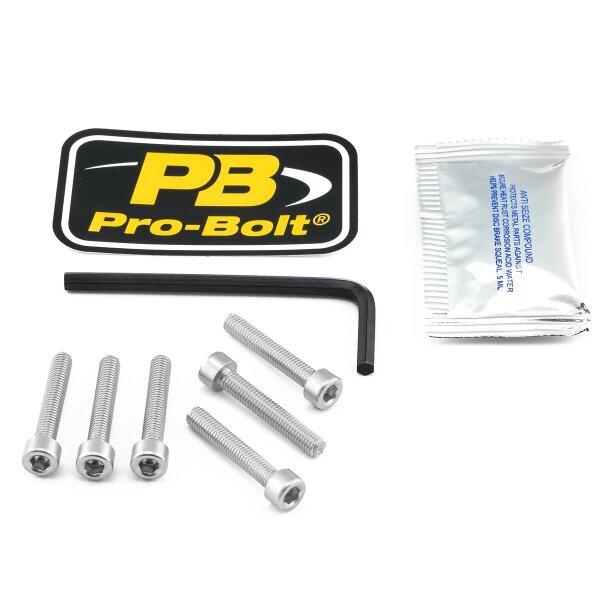 Bolt Kit Fuel Cap Silver