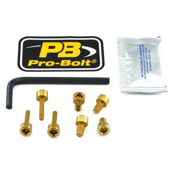 Bolt Kit Fuel Cap Gold