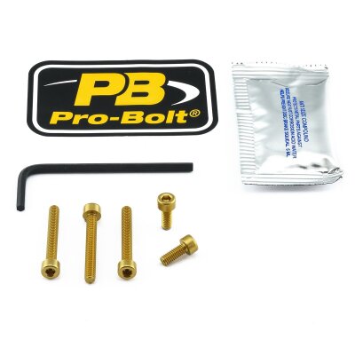 Bolt Kit Fuel Cap Gold