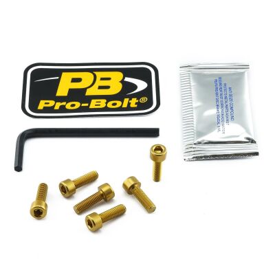 Bolt Kit Fuel Cap Gold