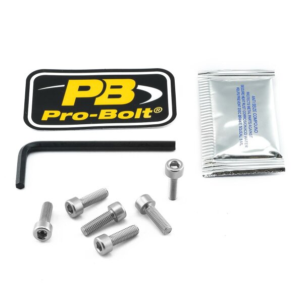 Bolt Kit Fuel Cap Silver
