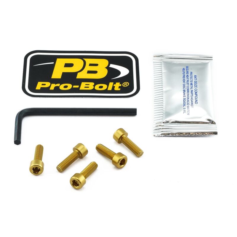 Bolt Kit Fuel Cap Gold