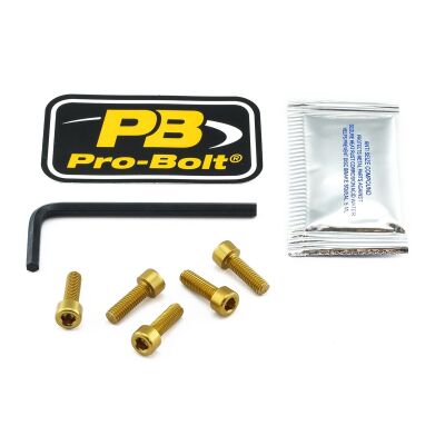 Bolt Kit Fuel Cap Gold