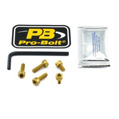 Bolt Kit Fuel Cap Gold