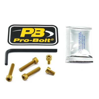 Bolt Kit Fuel Cap Gold