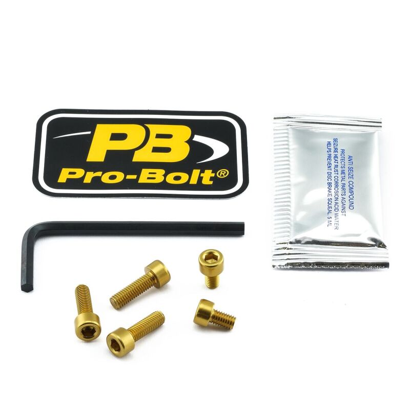 Bolt Kit Fuel Cap Gold