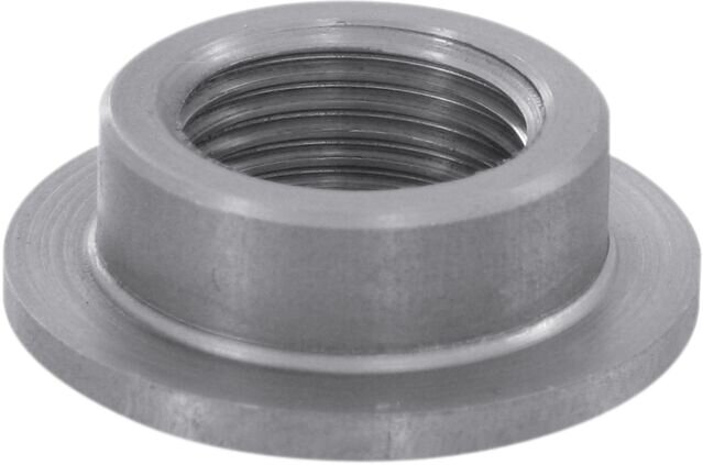 Tank Bung Stnless 3/8npt