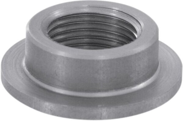 Tank Bung Stnless 3/8npt