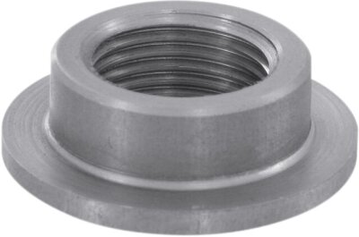 Tank Bung Stnless 3/8npt
