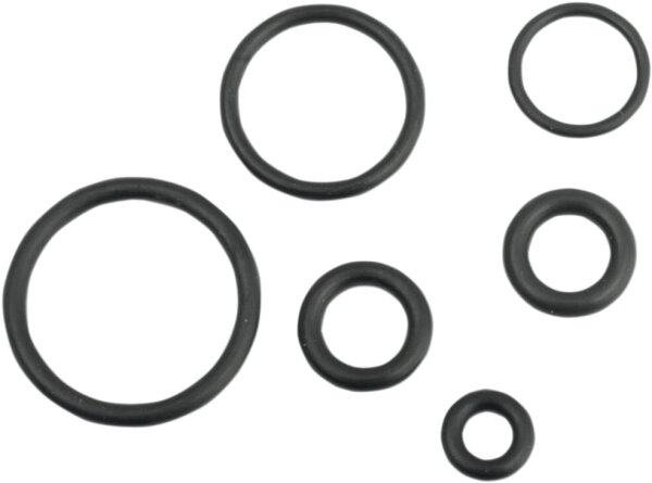 O-ring Kit Efi Fuel Line