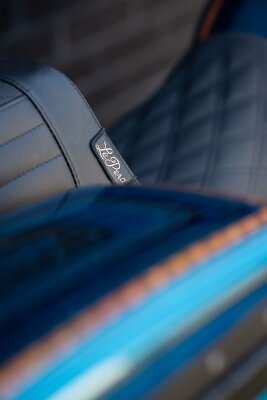 Seat Tailwhip Dd 06-17fxd