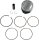 Piston Kit Trx250 Recon