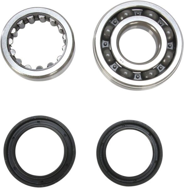 Crank Bearing Seal Kit