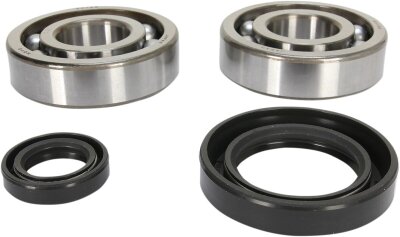 Crank Bearing Seal Kit