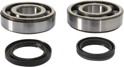 Crank Bearing Seal Kit
