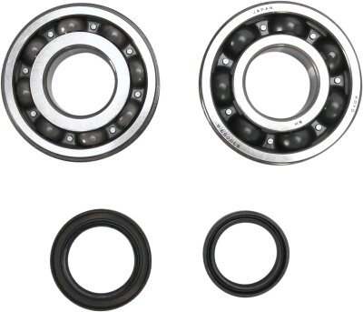 Crank Bearing Seal Kit